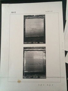 守護(hù)城市安全防線 上海防火卷簾門(mén)及其核心動(dòng)力——卷簾門(mén)電機(jī)的全面解析