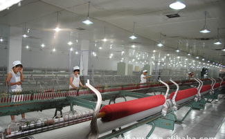 高檔精品時尚品牌羊絨衫誠招代理加盟，廠家直供，優價共贏